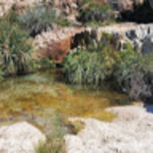 Meet your Posher, Karla